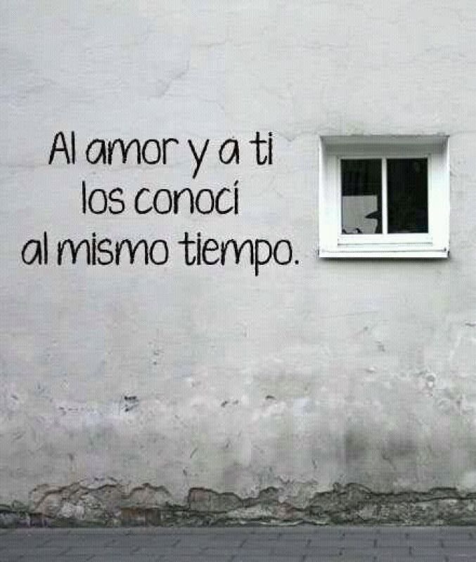 al amor y a ti los conoci al mismo tiempo.jpg